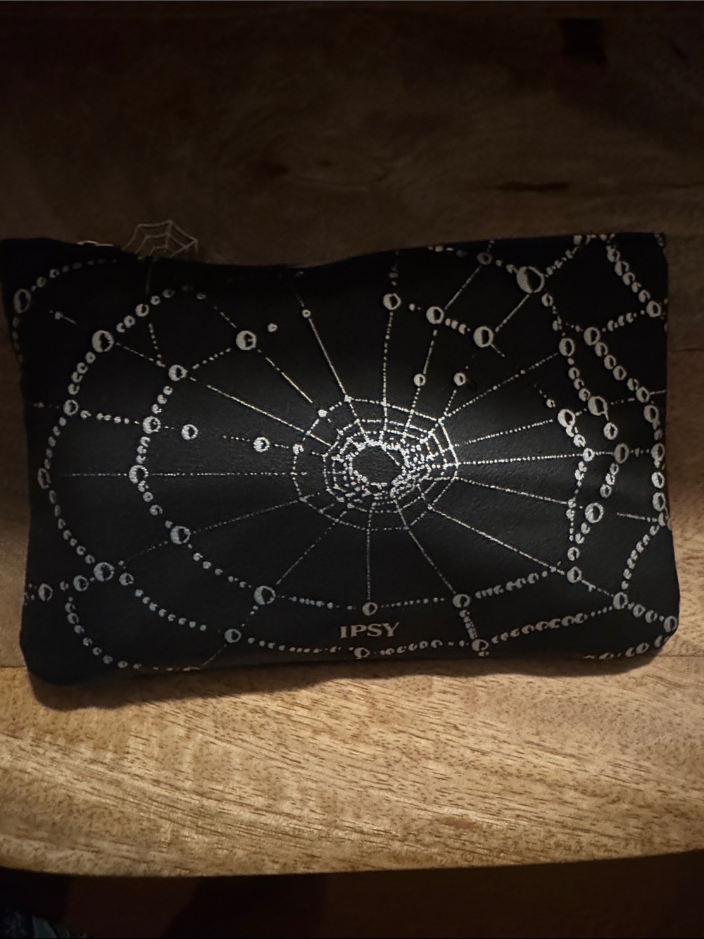 Black Cosmetic Pouch with Silver Spiderweb Design